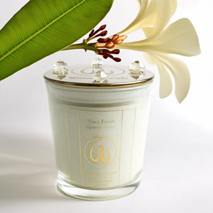 Nadira Begum Champa Chambeli Candle